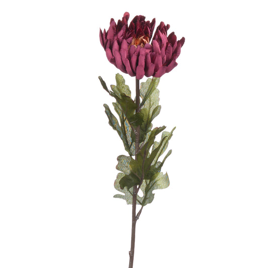 Autumn Spider Chrysanthemum Stem - Magenta