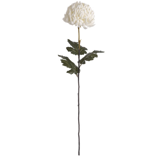 Large Chrysanthemum Stem - White